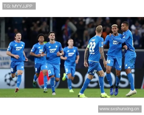 霍芬海姆主场击败门兴，保级或起航的曙光